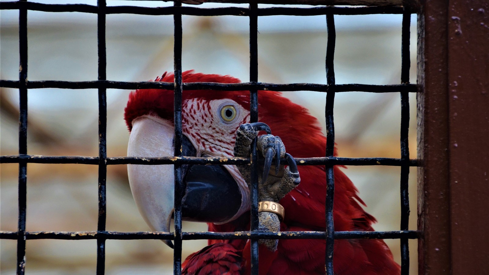 National park ZOO