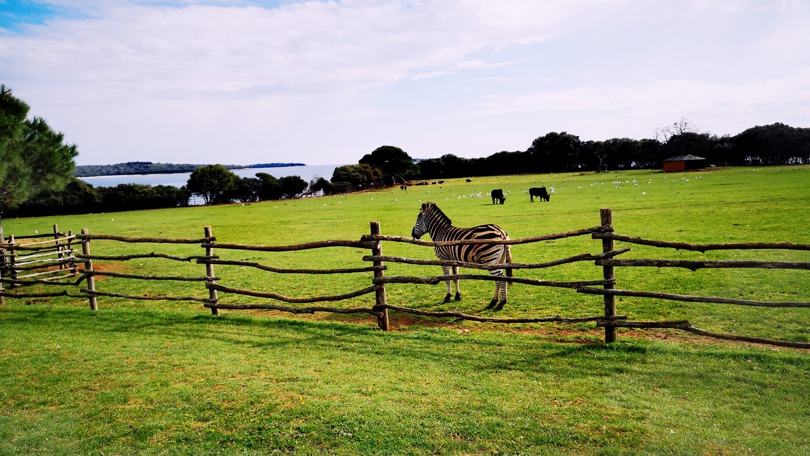 Safaripark Brijuni Inslen