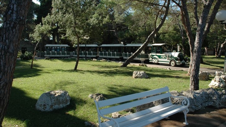 Tourist train